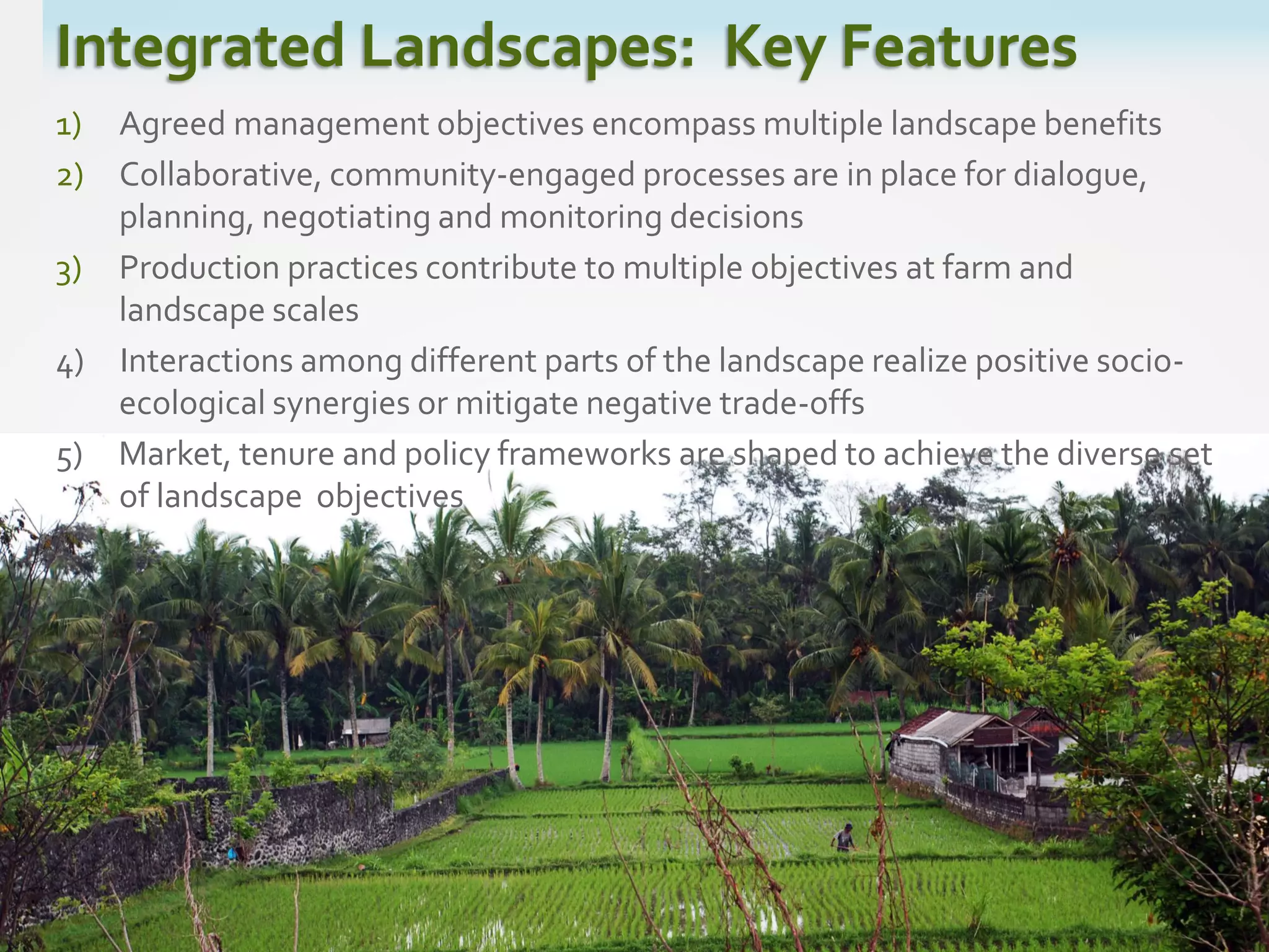 Integrated Landscapes: Key Features
1) Agreed management objectives encompass multiple landscape benefits
2) Collaborative, community-engaged processes are in place for dialogue,
planning, negotiating and monitoring decisions
3) Production practices contribute to multiple objectives at farm and
landscape scales
4) Interactions among different parts of the landscape realize positive socio-
ecological synergies or mitigate negative trade-offs
5) Market, tenure and policy frameworks are shaped to achieve the diverse set
of landscape objectives
 
