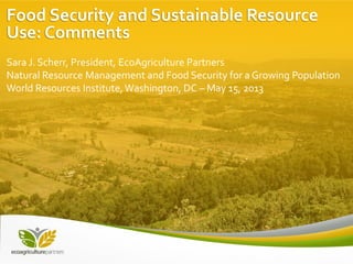 Food Security and Sustainable Resource
Use: Comments
Sara J. Scherr, President, EcoAgriculture Partners
Natural Resource Management and Food Security for a Growing Population
World Resources Institute,Washington, DC – May 15, 2013
 