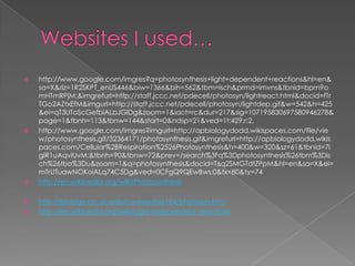   http://www.google.com/imgres?q=photosynthesis+light+dependent+reactions&hl=en&
    sa=X&rlz=1R2SKPT_enUS446&biw=1366&bih=562&tbm=isch&prmd=imvns&tbnid=bprn9o
    mHTmRPjM:&imgrefurl=http://staff.jccc.net/pdecell/photosyn/lightreact.html&docid=fTr
    TGo2AZtxEfM&imgurl=http://staff.jccc.net/pdecell/photosyn/lightdep.gif&w=542&h=425
    &ei=qT3UToScGefbiALbJGlDg&zoom=1&iact=rc&dur=217&sig=107195830697580946278&
    page=1&tbnh=113&tbnw=144&start=0&ndsp=21&ved=1t:429,r:2,
   http://www.google.com/imgres?imgurl=http://apbiologydodd.wikispaces.com/file/vie
    w/photosynthesis.gif/32364171/photosynthesis.gif&imgrefurl=http://apbiologydodd.wikis
    paces.com/Cellular%2BRespiration%2526Photosynthesis&h=400&w=320&sz=61&tbnid=7I
    gIR1uAqvIUvM:&tbnh=90&tbnw=72&prev=/search%3Fq%3Dphotosynthesis%26tbm%3Dis
    ch%26tbo%3Du&zoom=1&q=photosynthesis&docid=T6q2SMGTdtZPpM&hl=en&sa=X&ei=
    mTrUTuawNOKoiALq74C5Dg&ved=0CFgQ9QEwBws:0&tx=80&ty=74
   http://en.wikipedia.org/wiki/Photosynthesis

   http://biology.clc.uc.edu/courses/bio104/photosyn.htm
   http://en.wikipedia.org/wiki/Light-independent_reactions
 