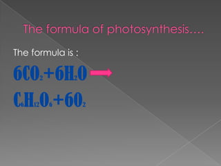 The formula is :

6CO +6H O 2       2



C H O +60
 6   12       6       2
 
