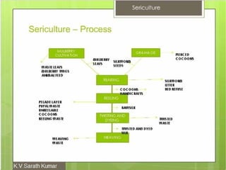 Sericulture (Silk Farming)