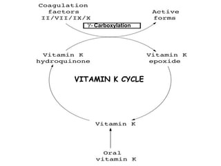 - Carboxylation
VITAMIN K CYCLE
 