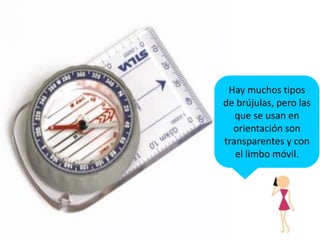 ·La base. Hecha de material plástico transparente y donde encontramos en los bordes pequeñas reglas o escalas y en su interior la flecha de dirección.·El limbo.  Va colocado sobre la base y puede rotar sobre si mismo. En el encontramos las líneas norte-sur, la flecha del norte y la aguja imantada.Hay muchos tipos de brújulas, pero las que se usan en orientación son transparentes y con el limbo móvil.