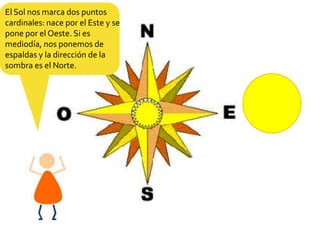 El Sol nos marca dos puntos cardinales: nace por el Este y se pone por el Oeste. Si es mediodía, nos ponemos de espaldas y la dirección de la sombra es el Norte.