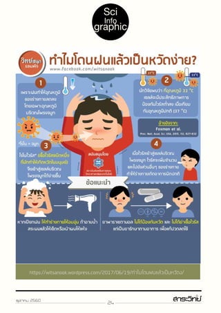 24ตุลาคม 2560
Sci
Info
graphic
https://witsanook.wordpress.com/2017/06/19/ทำ�ไมโดนฝนแล้วเป็นหวัดง/
 