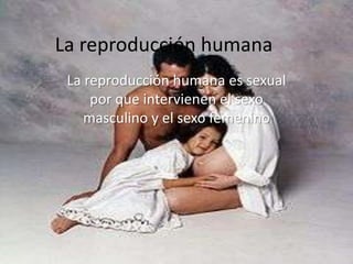 La reproducción humana
 La reproducción humana es sexual
     por que intervienen el sexo
    masculino y el sexo femenino
 