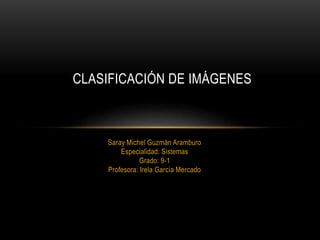 Saray Michel Guzmán Aramburo
Especialidad: Sistemas
Grado: 9-1
Profesora: Irela García Mercado
CLASIFICACIÓN DE IMÁGENES
 