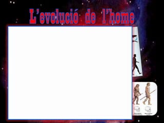 L’evolució de l’home