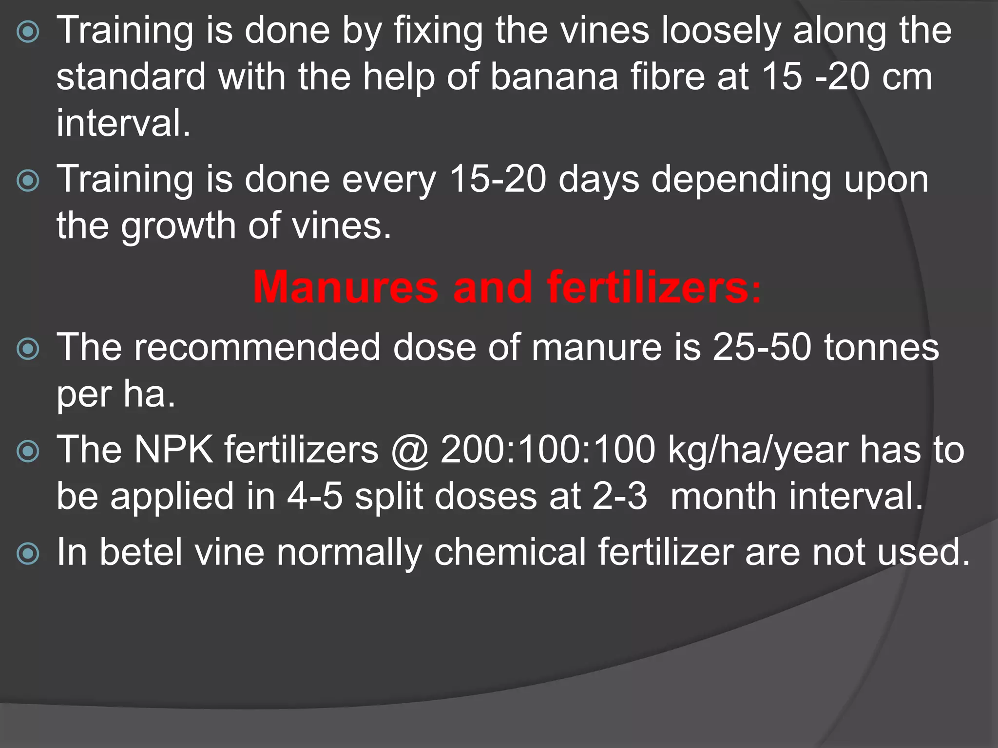 cultivation of betel vine, production technology of vbetelvine | PPTX