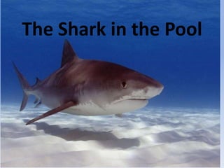 The Shark in the Pool

 