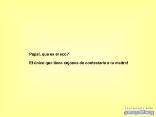 Papa!, que es el eco? El único que tiene cojones de contestarle a tu madre!   
