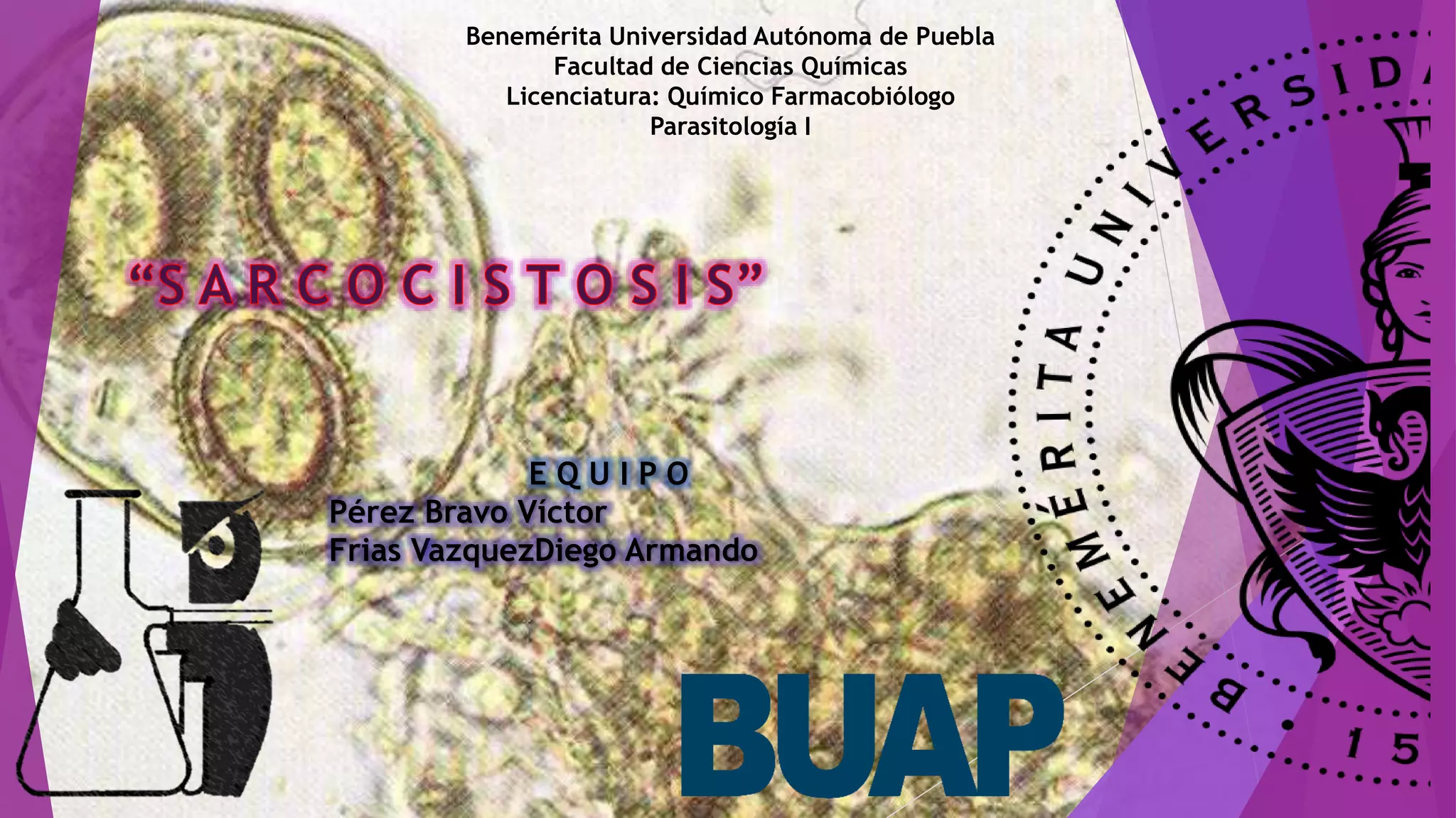 Benemérita Universidad Autónoma de Puebla
Facultad de Ciencias Químicas
Licenciatura: Químico Farmacobiólogo
Parasitología I
E Q U I P O
Pérez Bravo Víctor
Frias VazquezDiego Armando