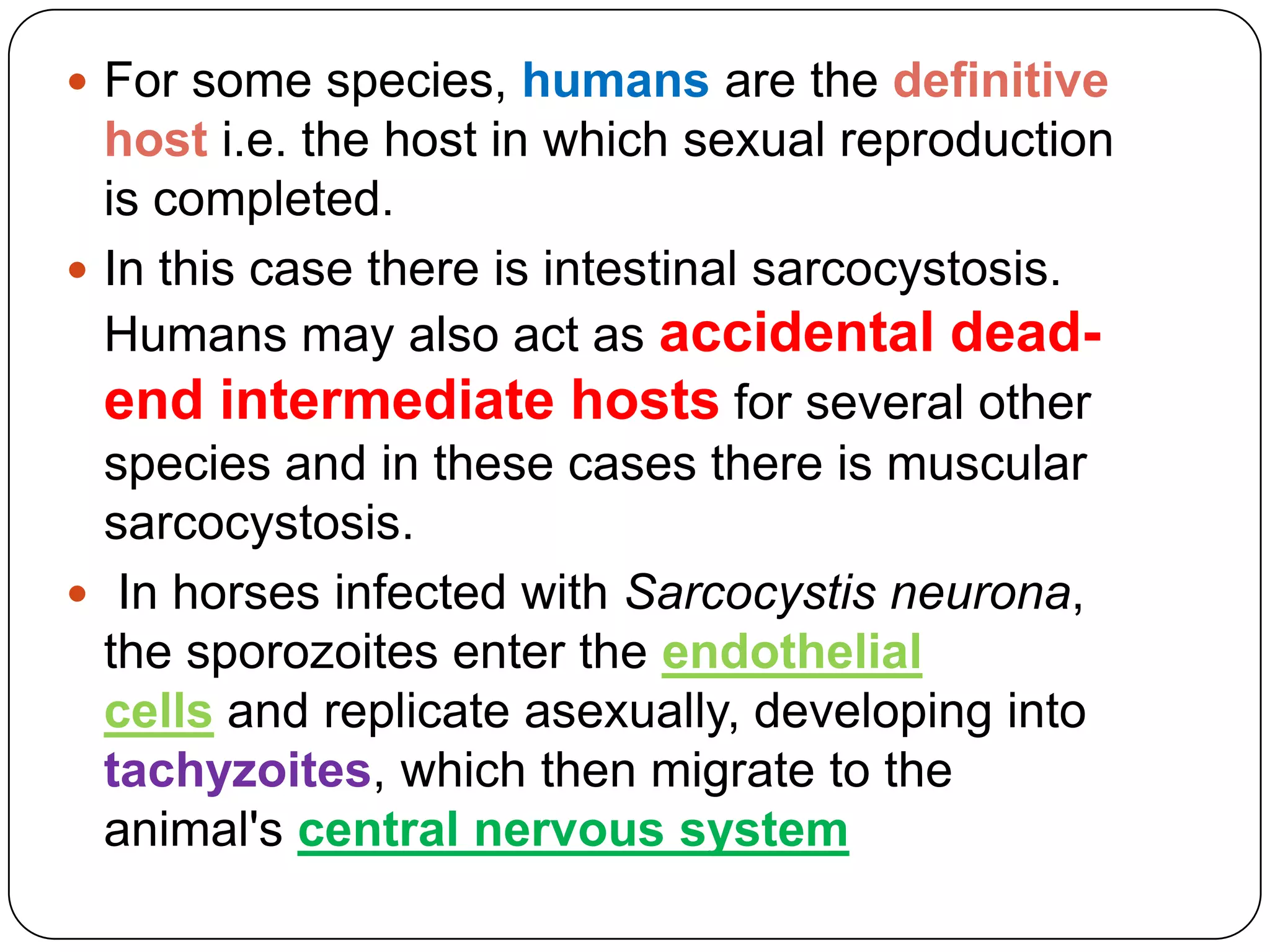  For some species, humans are the definitive

host i.e. the host in which sexual reproduction
is completed.
 In this case there is intestinal sarcocystosis.
Humans may also act as accidental deadend intermediate hosts for several other
species and in these cases there is muscular
sarcocystosis.
 In horses infected with Sarcocystis neurona,
the sporozoites enter the endothelial
cells and replicate asexually, developing into
tachyzoites, which then migrate to the
animal's central nervous system

 