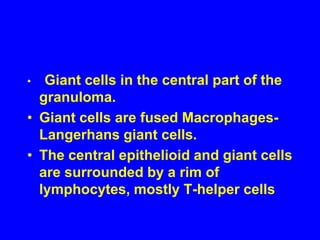 The antigenic triggering agents cause activation of the Helper T-cell and Macrophages Activated Helper T-cell and Macrophages produce IL-2,IFN and TNF    complex interaction of cytokines   Inflammatory response leading to  granulomaGiant cells in the central part of the granuloma.