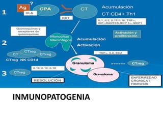 INMUNOPATOGENIA
 