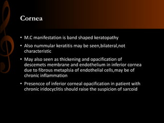 Cornea
• M.C manifestation is band shaped keratopathy
• Also nummular keratitis may be seen,bilateral,not
characteristic
• May also seen as thickening and opacification of
descemets membrane and endothelium in inferior cornea
due to fibrous metaplsia of endothelial cells,may be of
chronic inflammation
• Presencce of inferior corneal opacification in patient with
chronic iridocyclitis should raise the suspicion of sarcoid
 