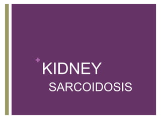+
KIDNEY
SARCOIDOSIS
 