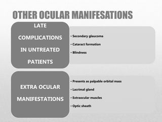 OTHER OCULAR MANIFESATIONS
• Secondary glaucoma
• Cataract formation
• Blindness
LATE
COMPLICATIONS
IN UNTREATED
PATIENTS
• Presents as palpable orbital mass
• Lacrimal gland
• Extraocular muscles
• Optic sheath
EXTRA OCULAR
MANIFESTATIONS
 