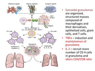 • Sarcoidal granulomas
are organized,
structured masses
composed of
macrophages and
their derivatives,
epithelioid cells, giant
cells, and T cells.
• TNFa – induction and
maintainence of
granuloma
• IL 2 – recruit more
number of CD 4 cells
in granuloma and
alters CD4/CD8 ratio
 