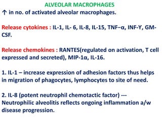 ALVEOLAR MACROPHAGES
↑ in no. of activated alveolar macrophages.
Release cytokines : IL-1, IL- 6, IL-8, IL-15, TNF−α, INF-Ƴ, GM-
CSF.
Release chemokines : RANTES(regulated on activation, T cell
expressed and secreted), MIP-1α, IL-16.
1. IL-1 – increase expression of adhesion factors thus helps
in migration of phagocytes, lymphocytes to site of need.
2. IL-8 (potent neutrophil chemotactic factor) ---
Neutrophilic alveolitis reflects ongoing inflammation a/w
disease progression.
 