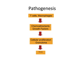 T cells, Macrophages
Chemoattractants
Growth Factors
Cellular proliferation
Granuloma
Fibrosis
Pathogenesis
 