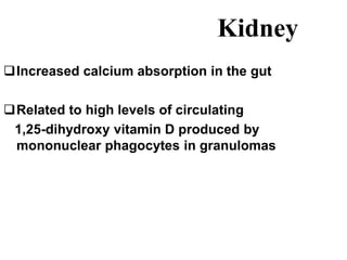 Kidney
Increased calcium absorption in the gut
Related to high levels of circulating
1,25-dihydroxy vitamin D produced by
mononuclear phagocytes in granulomas
 