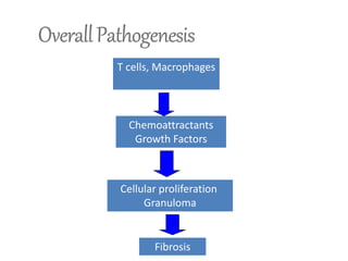 T cells, Macrophages
Chemoattractants
Growth Factors
Cellular proliferation
Granuloma
Fibrosis
 