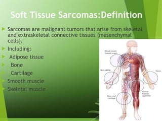 Comprehensive Overview of Soft Tissue Sarcomas and Pediatric Bone ...