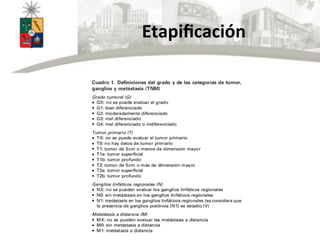Etapiﬁcación	
  
 