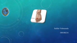 Solifer Valenzuela
100100216
 