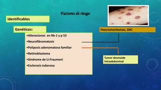 Factores de riesgo
Genéticos:
identificables
•Alteraciones en Rb-1 y p 53
•Neurofibromatosis
•Poliposis adenomatosa familiar
•Retinoblastoma
•Sindrome de Li-Fraumeni
•Esclerosis tuberosa
Feocromocitomas, SNC
Tumor desmoide
intraabdominal
 