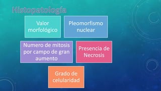 Valor
morfológico
Pleomorfismo
nuclear
Numero de mitosis
por campo de gran
aumento
Presencia de
Necrosis
Grado de
celularidad
 