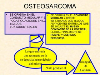 OSTEOSARCOMA SE ORIGINA EN EL CONDUCTO MEDULAR Y EN POCAS OCACIONES EN LOS TEJIDOS YUXTACORTICALES SE ORIGINA EN EL  CONDUCTO MEDULAR  Y CRECE INFILTRANDO LOS TEJIDOS ADYACENTES ENTRE LOS QUE SE INCLUYE  EL HUESO COMPACTO DE LA CORTICAL  , LA CUAL FINALMENTE SE  ROMPE  Y DESPEGA PERIOSTIO . Lo que estimula  una respuesta en la se deposita hueso debajo del mismo Esto produce el  Triangulo De Codman 