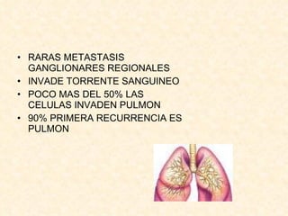 RARAS METASTASIS GANGLIONARES REGIONALES INVADE TORRENTE SANGUINEO POCO MAS DEL 50% LAS CELULAS INVADEN PULMON 90% PRIMERA RECURRENCIA ES PULMON 