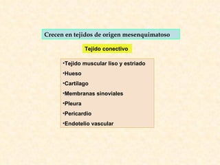 Crecen en tejidos de origen mesenquimatoso Tejido muscular liso y estriado Hueso Cartílago  Membranas sinoviales Pleura Pericardio  Endotelio vascular Tejido conectivo 