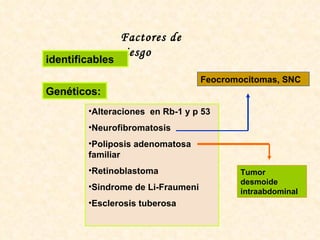 Factores de riesgo Genéticos: identificables Alteraciones  en Rb-1 y p 53 Neurofibromatosis Poliposis adenomatosa familiar Retinoblastoma Sindrome de Li-Fraumeni Esclerosis tuberosa Feocromocitomas, SNC Tumor desmoide intraabdominal 