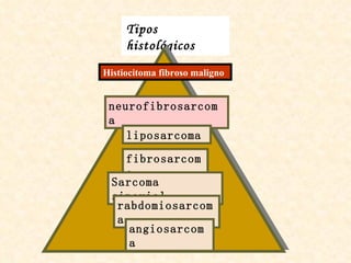 Tipos histológicos Histiocitoma fibroso maligno neurofibrosarcoma liposarcoma fibrosarcoma Sarcoma sinovial rabdomiosarcoma angiosarcoma 