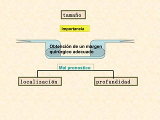 tamaño Obtención de un margen quirúrgico adecuado importancia localización profundidad Mal pronostico 