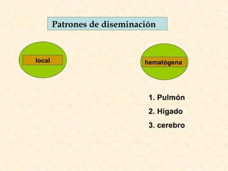 Patrones de diseminación local hematógena Pulmón Hígado cerebro 