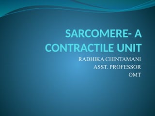 SARCOMERE- A
CONTRACTILE UNIT
RADHIKA CHINTAMANI
ASST. PROFESSOR
OMT
 