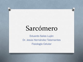 Sarcómero
Eduardo Salas Luján
Dr. Jesús Hernández Talamantes
Fisiología Celular

 