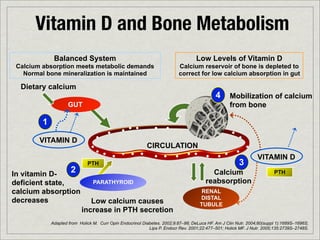 Vitamin D and Bone Metabolism
              Balanced System                                                     Low Levels of Vitamin D
 Calcium absorption meets metabolic demands                               Calcium reservoir of bone is depleted to
   Normal bone mineralization is maintained                               correct for low calcium absorption in gut

  Dietary calcium
                                                                                            4      Mobilization of calcium
                     GUT                                                                           from bone

         1

        VITAMIN D
                                                           CIRCULATION
                                                                                                                VITAMIN D
                              PTH                                                                      3
In vitamin D-
                      2                                                                  Calcium                        PTH
deficient state,                 PARATHYROID                                           reabsorption
calcium absorption                                                                   RENAL
                                                                                    DISTAL
decreases                     Low calcium causes                                    TUBULE
                           increase in PTH secretion
             Adapted from Holick M. Curr Opin Endocrinol Diabetes. 2002;9:87–98; DeLuca HF. Am J Clin Nutr. 2004;80(suppl 1):1689S–1696S;
                                                            Lips P. Endocr Rev. 2001;22:477–501; Holick MF. J Nutr. 2005;135:2739S–2748S.
 
