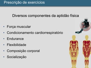 Prescrição de exercícios
Diversos componentes da aptidão física
• Força muscular
• Condicionamento cardiorrespiratório
• Endurance
• Flexibilidade
• Composição corporal
• Socialização
 
