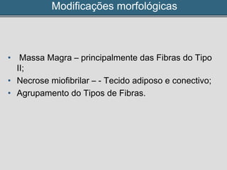 Modificações morfológicas
• Massa Magra – principalmente das Fibras do Tipo
II;
• Necrose miofibrilar – ­ Tecido adiposo e conectivo;
• Agrupamento do Tipos de Fibras.
 