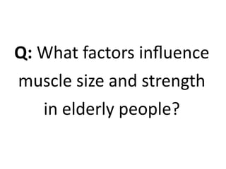 Q: What factors influence 
muscle size and strength 
in elderly people? 
 