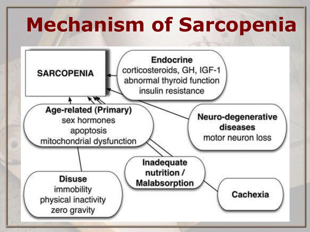 Sarcopenia