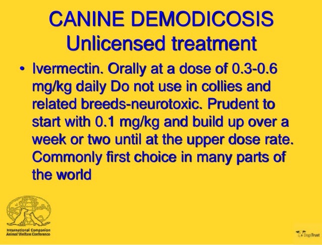 Ivermectin Dosage For Sarcoptic Mange In Dogs