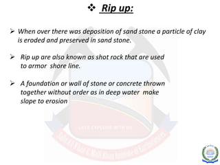 Primary Sedimentary Structures | PPTX