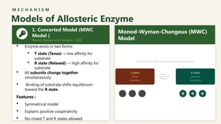 Comprehensive Overview of Allosteric Enzymes: Mechanisms, Kinetics, and ...