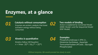 Comprehensive Overview of Allosteric Enzymes: Mechanisms, Kinetics, and ...